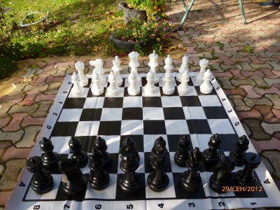 Поле шахматное виниловое 140х140 см