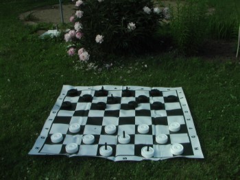 Поле виниловое шахматное 175х175 см