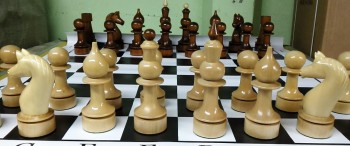 Деревянные лаковые шахматы 20см(ДШ-8) 