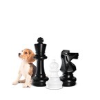 Детские шахматы до 29 см с полем (КШП-12)